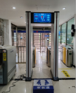 EI-MD3000 S29 H Walkthrough Metal Detector-Smart Detection Gate-H